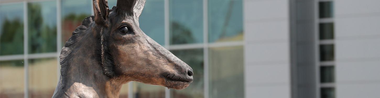 a photo of a bronze statue of a pronghorn on bet36365体育's campus